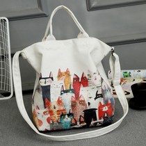 Single shoulder strap spring cloth bag bag bag hanging inclined class hand holding canvas bag women canvas bag college students