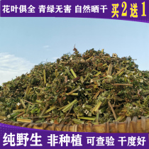 2021 New Goods Jiangxi Wugong Mountain Farmhouse Wild Motherwort Dry Chinese Herbal Auntie Water Tea Bubble Feet without Sulfur