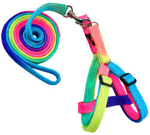 Colorful neck dog chain, chest hold baby bag, dog rope, pet household leash, teddy leash, small dog