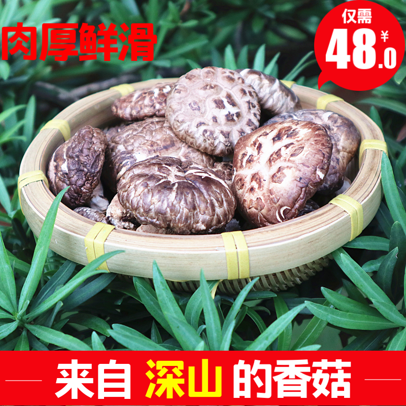 Shaoguan specialty of Northern Guangdong Danxia Mountain non-linden Shiitake mushroom Shixing Nanxiong Wengyuan Heyuan Qingyuan Shiitake Mushroom 500g