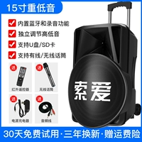 15 -INCH BASS Outdoor Audio+беспроводной микрофон*1 [Aravian Original Sound+Приоритет микрофона]