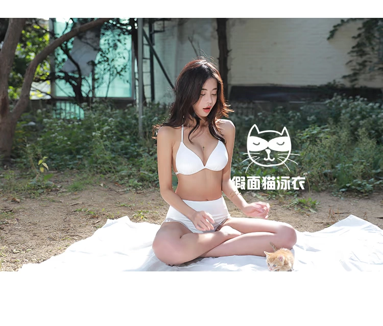 Mặt nạ mèo thêu bikini bikini ba mảnh kích thước sexy tập hợp để trông mỏng nóng kỳ nghỉ mùa xuân phụ nữ áo tắm - Bikinis