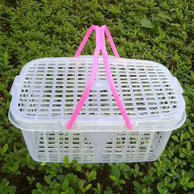 Special price wholesale bayberry basket strawberry basket portable 7 kg white plastic fruit basket grape picking basket with lid
