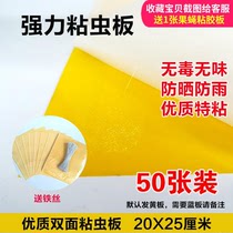 Double sided adhesive insect plate yellow trap Waterproof Blue Plate Vegetable Greenhouses Small Black Fly Fruit Fly fly