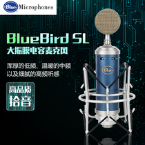 Blue BlueBird SL Blue bird capacitor network K song professional recording studio anchor capacitor wheat microphone