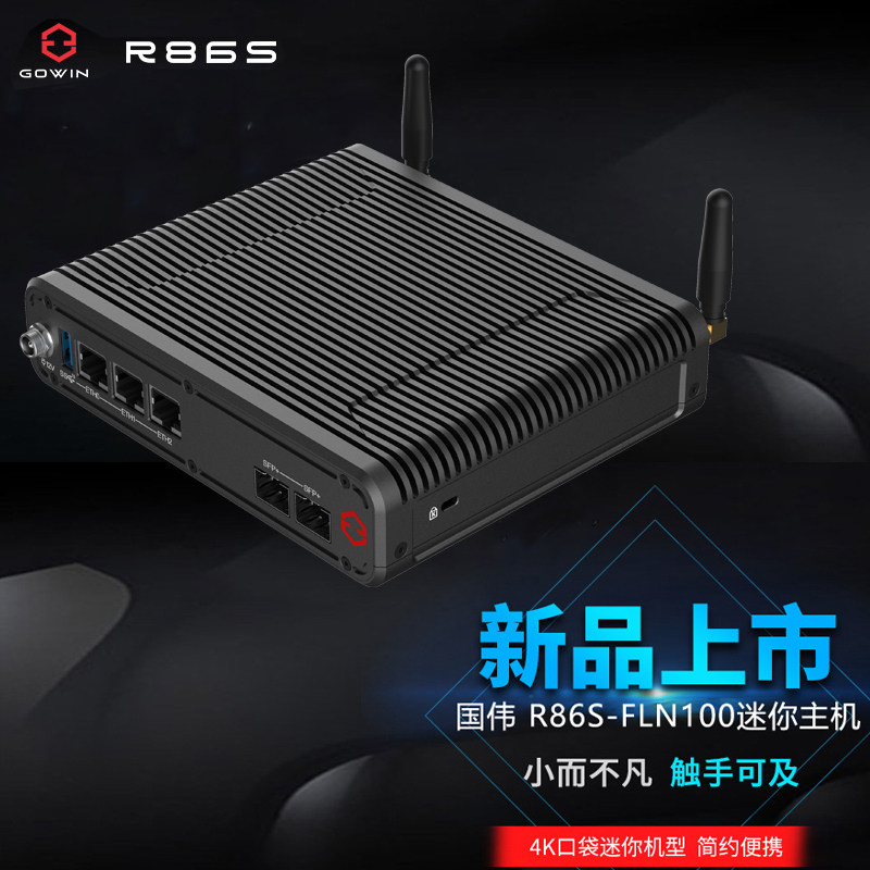 New Guowei Fln100 R86S Fanless 12Th Generation Processor 10g 10Gbps 2.5g 10Gbps Mini Host