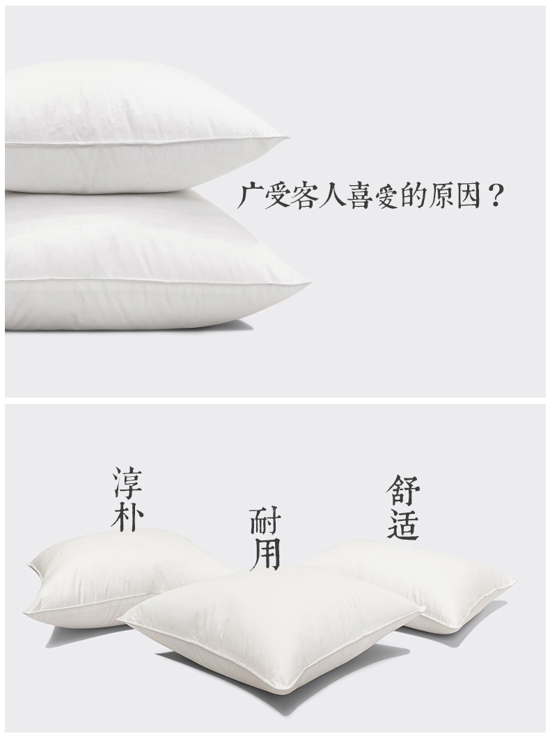Đệm nữ hoàng sofa gối lông nhung lõi gối trắng tinh khiết nhà trở lại giường lông nhung đệm lõi Chăn gối văn phòng 2 trong 1