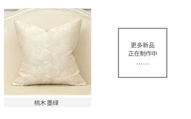 Gối nữ hoàng gối đơn giản hiện đại đệm mẫu phòng thắt lưng gối gối gối khách sạn gối mềm - Trở lại đệm / Bolsters gối kèm chăn