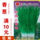 Около 500 маленьких зеленых луков за четыре сезона