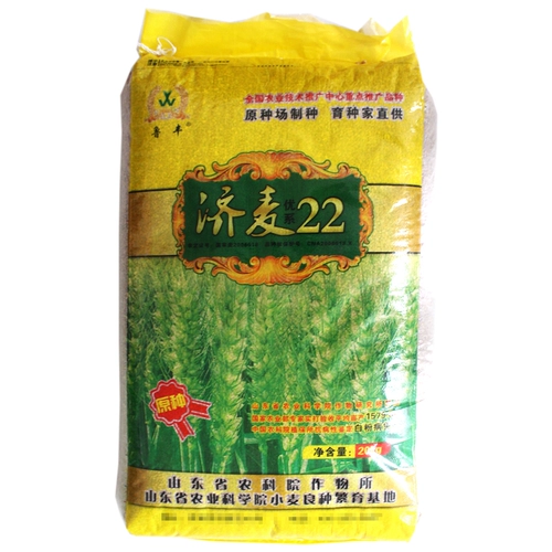 Высококачественные сильные семена с высокой пшеницей с высокой пшеницей Mai Mai 22 Шаньдунская академия сельскохозяйственных наук, гномы, стебли, чтобы противостоять первоначальным видам Da suo
