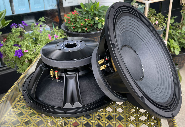 Reaton BM Series 220 Magnetic 100 Core Professional High Power 15 Inch Mid Bass Unit Bass Horn