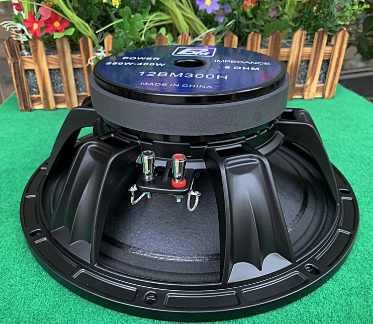 170 magnetic 65 rui aluminum disc frame KTV stage cloth edge 12 inch 10 inch woofer in the subwoofer