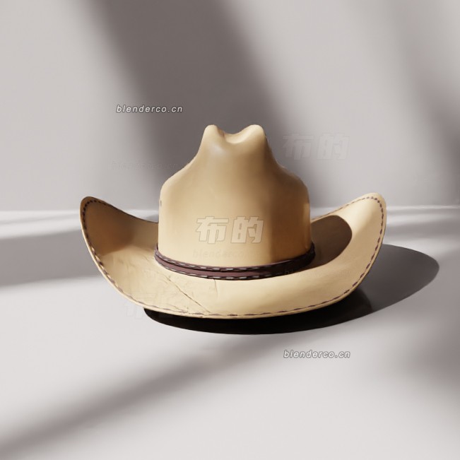 blender西部帽模型_blender布的37