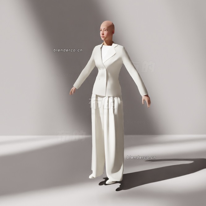 blender职业女性模型_blender布的22