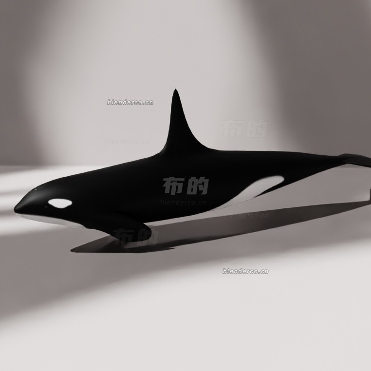blender卡通逆戟鲸模型_blender布的58