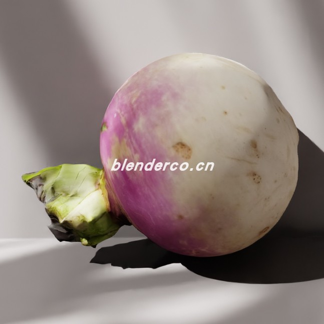 blender萝卜模型_blender布的74