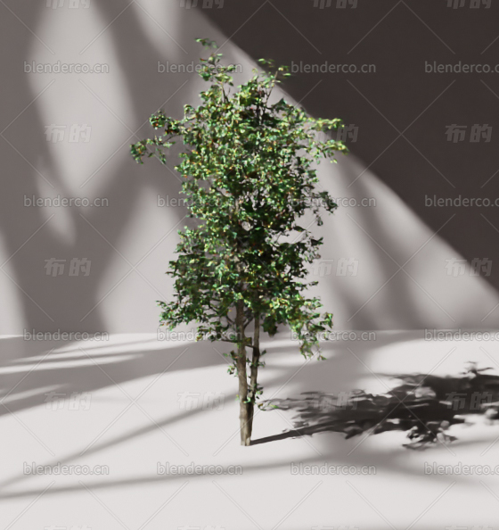 blender树木blender布的模型43