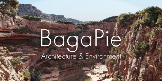 自然环境植物石头插件预设包BagaPie10.1