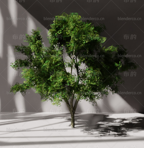 blender树木blender布的模型06