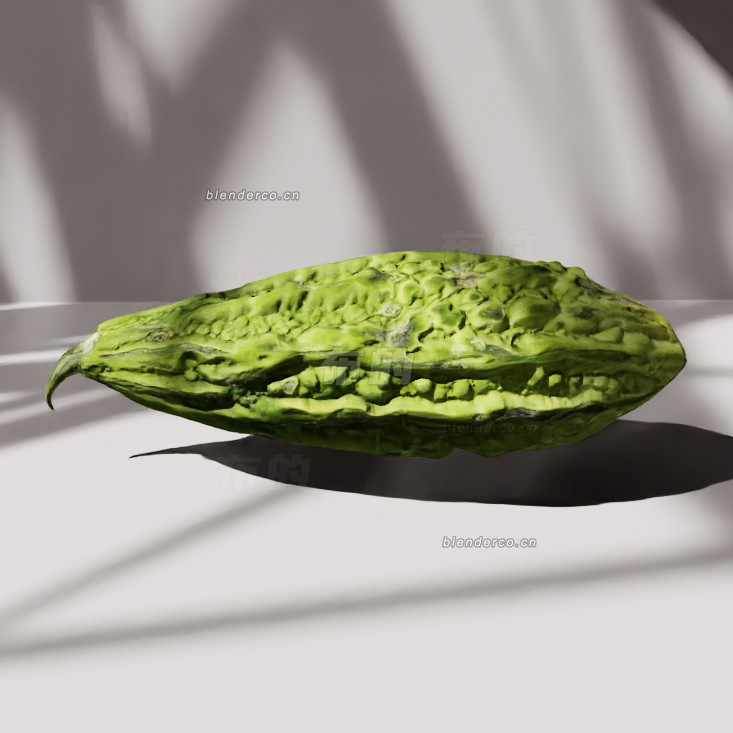 blender苦瓜模型_blender布的10