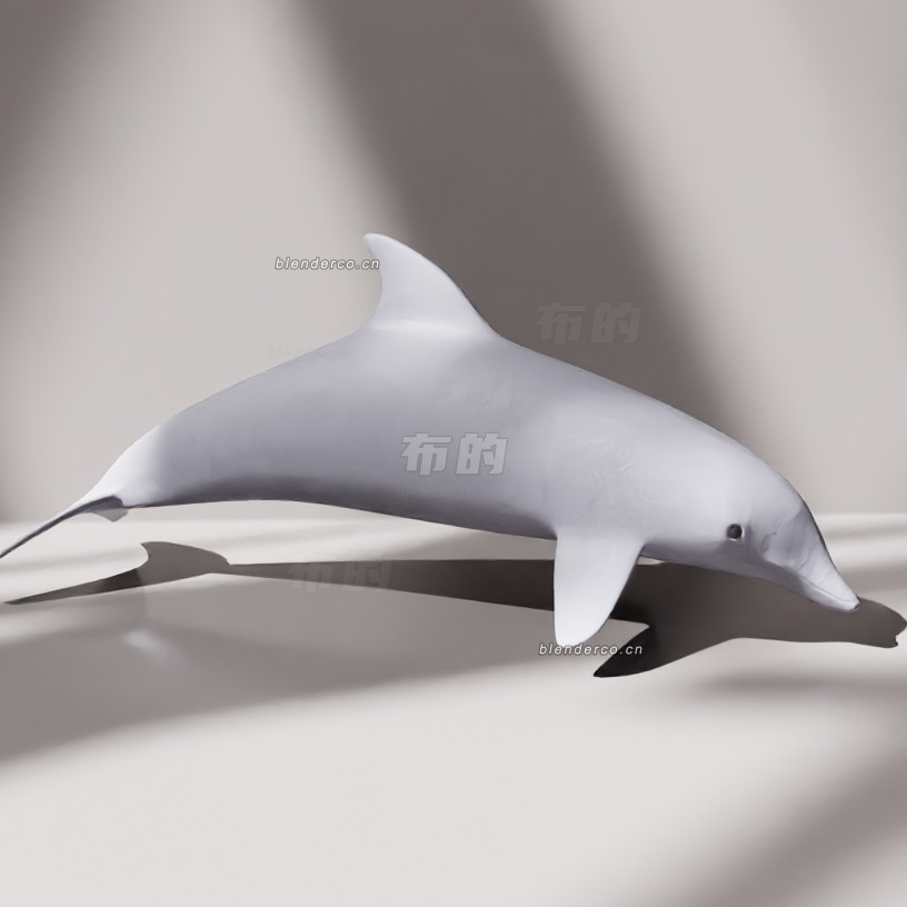 blender卡通海豚模型_blender布的52