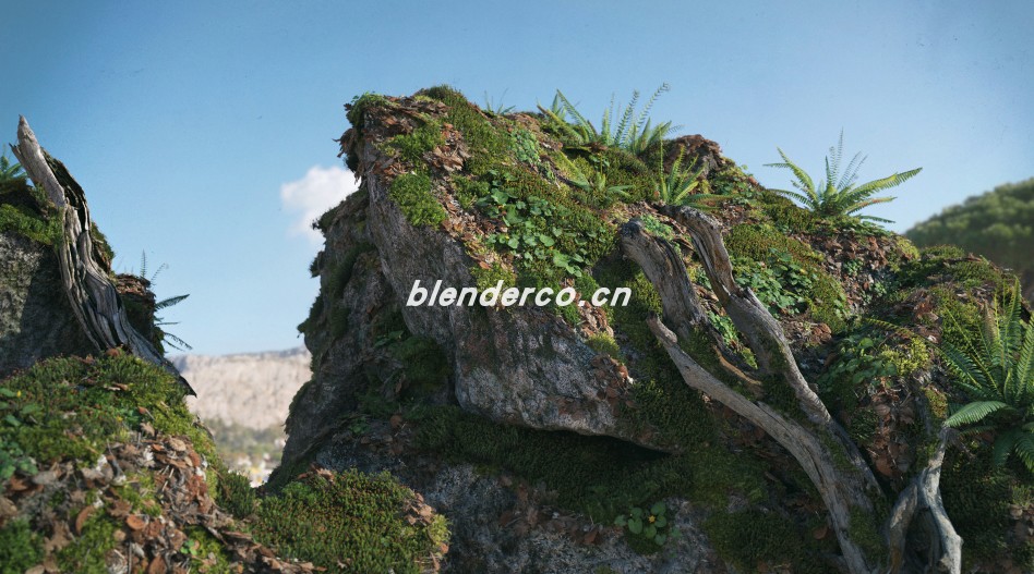 bude_2024-12-28_09-50-27.jpg