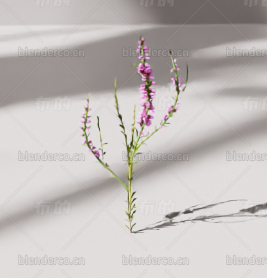 blender花blender布的模型111