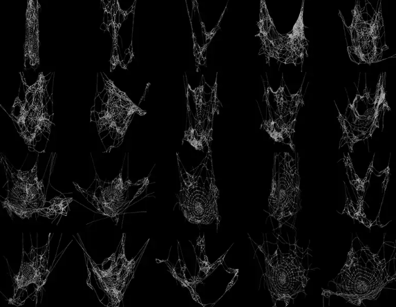 FBX STL OBJ C4D Blender蜘蛛网蛛网蜘蛛丝三维3D模型