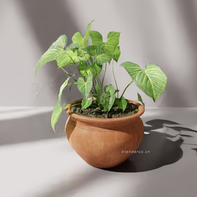 blender植物盆栽模型_blender布的160
