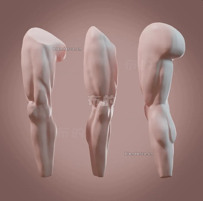 65-腿部基础网格.jpg
