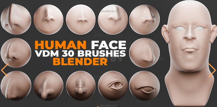 Blender人脸耳鼻眼睛五官笔刷资产预设 Human Face VDM Brushes