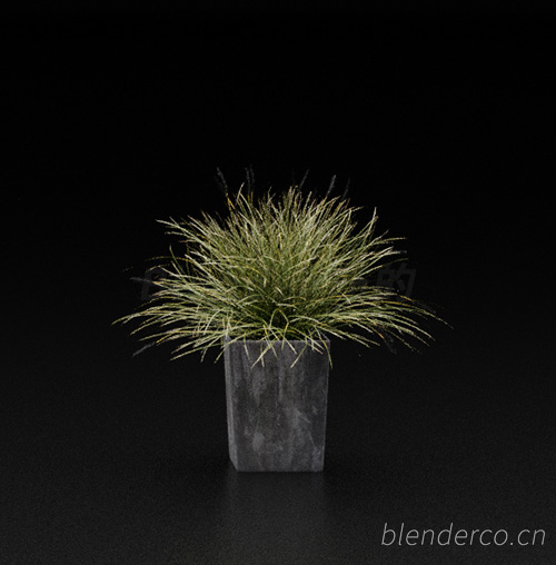 绿植植物花盆盆栽盆景单体blender模型室内花卉花草19 blender布的