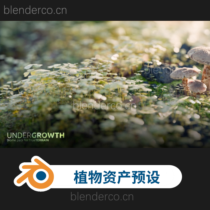 blender植物系列灌木丛林3D资产模型库 Undergrowth Asset Library