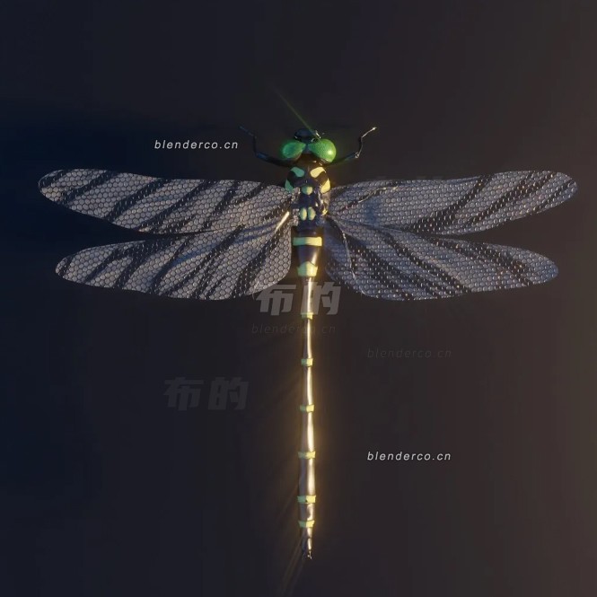 blender蜻蜓模型_blender布的08