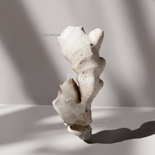 blender生姜模型_blender布的80