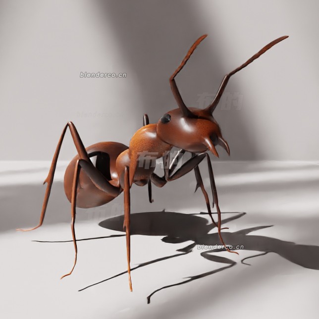 blender蚂蚁模型_blender布的11