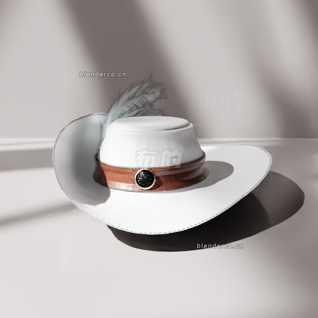 blender海盗帽9模型_blender布的18