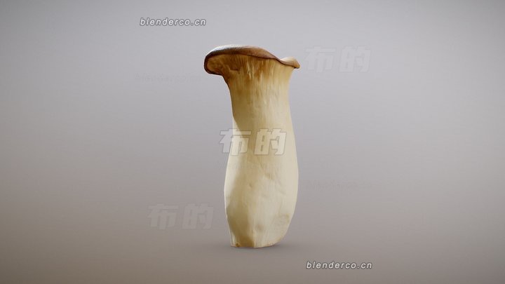 blender杏鲍菇模型_blender布的47