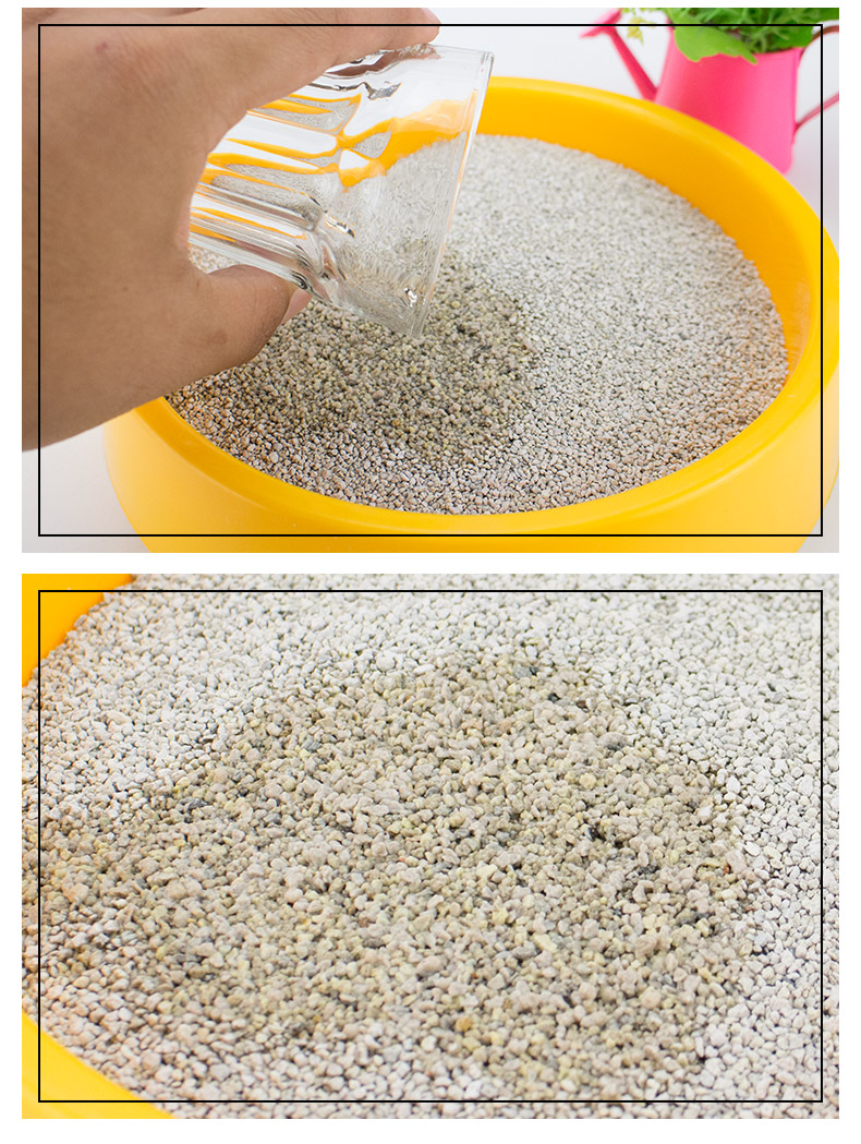 Canada Practiceicat Pratt mèo xả rác bentonite nhóm mèo nhập khẩu mèo 6,35kg * 3 gói NEO đại lý - Cat / Dog Beauty & Cleaning Supplies 	lược chải tơi lông chó
