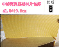  Beekeeping tools Export type deep room nest base Medium hive base Nest base hive 30 sheets nest spleen 