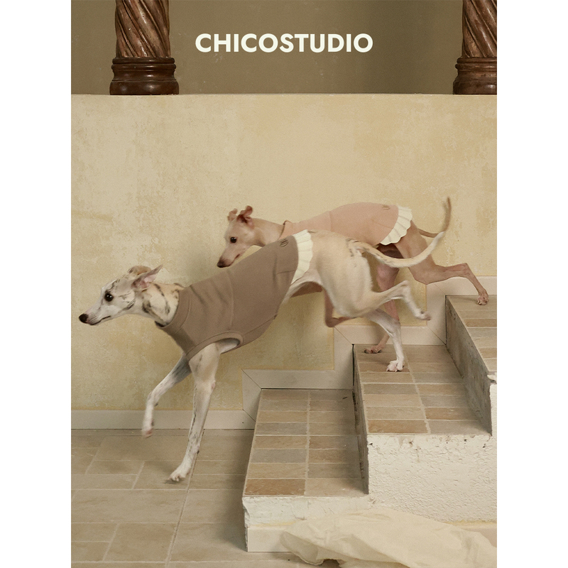 Chico｜Bloom Morandi Sleeveless Sweatshirt, Durable and Not Prone to Lint, Small Greyhound Whippet Dog Clothes