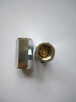 Suitable for Shandong Xinhua Medical pulsating vacuum sterilizer 20 straight-through check valve 3 4 check valve accessories