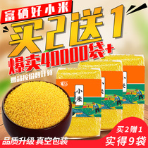 Shizhou yellow millet porridge rice millet grains Enshi selenium-rich specialty farmhouse small yellow rice 2021 New millet