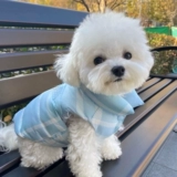 Зимняя одежда для собак, утолщенная и теплая для собак и кошек, двуногая одежда для маленьких и средних собак зимой.