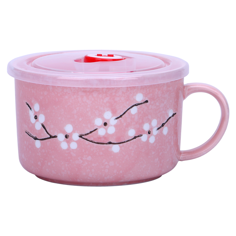 Mercifully rainbow such as bowl with cover the dormitory with students to use chopsticks sets ceramic bowl with Japanese lunch box mercifully rainbow such as bowl bowl dorm