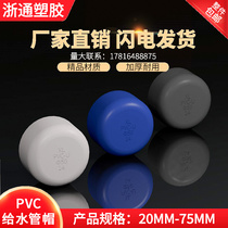 Zhejiang Tong Plastic Pvc Plumbing Accessories Choke Plug to a water pipe cap Choke Cap Stuffy Head 20 25110160