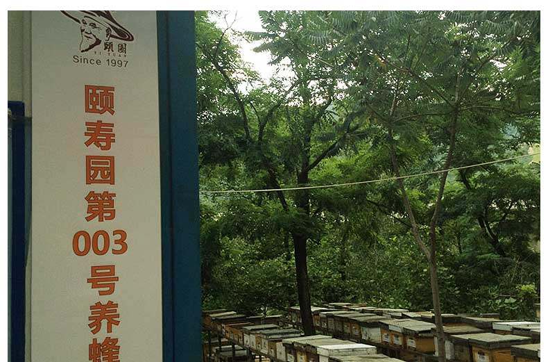 洋槐蜜480g内页 _07