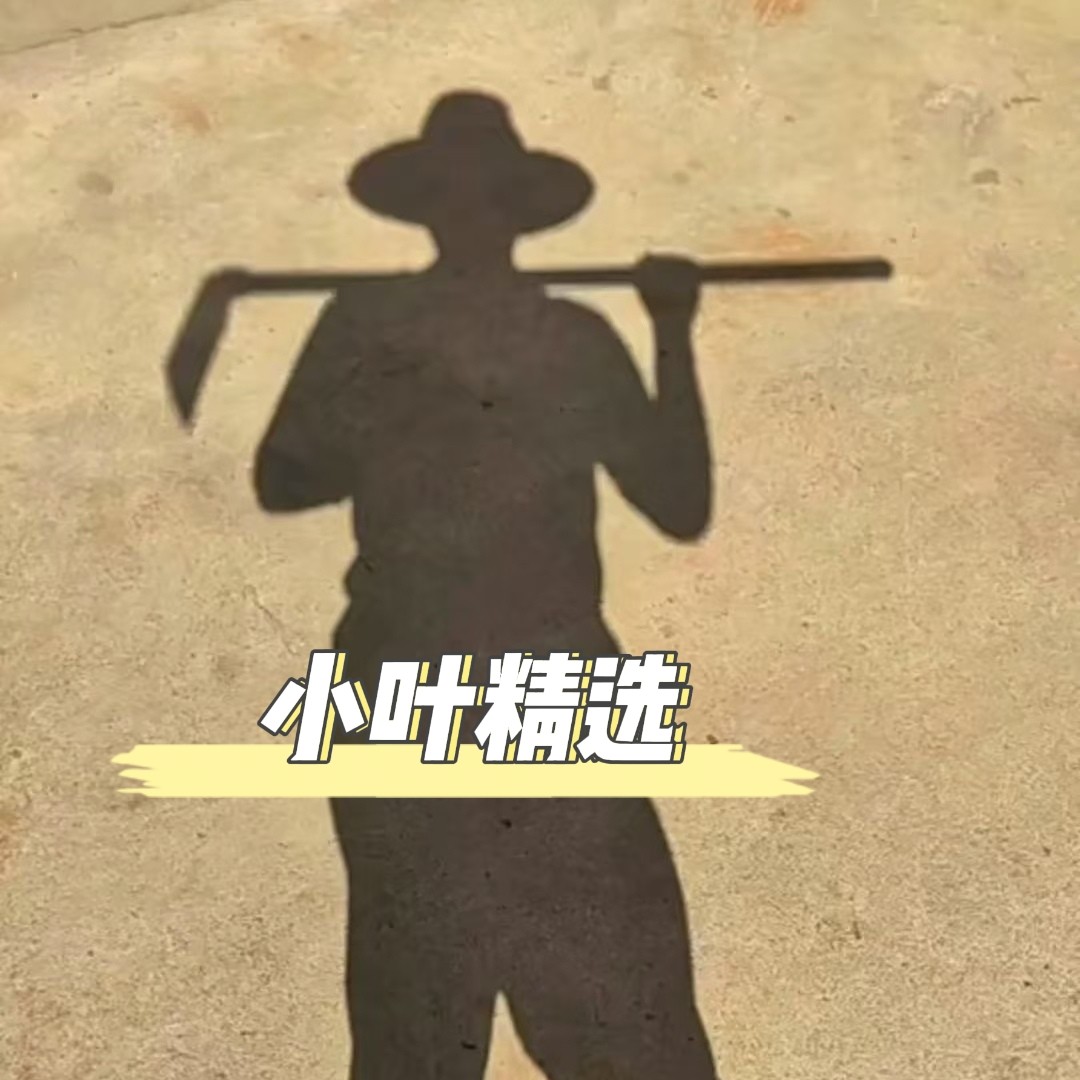 小叶精选