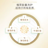 Горный чай, эссенция, блестящий кондиционер, восстанавливающее масло для волос подходит для вьющихся волос, 100 мл