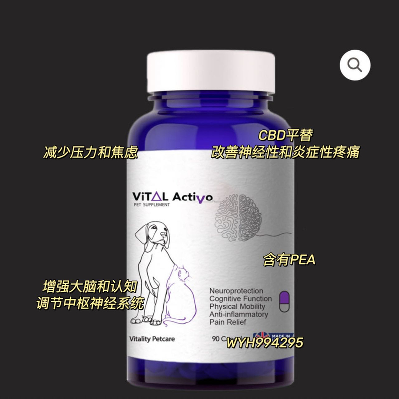 [in Stock] Uk Vital Activo Contains Pea Neurological Support Pain Relief Anti-Inflammatory Anti-Stress for Cats and Dogs
